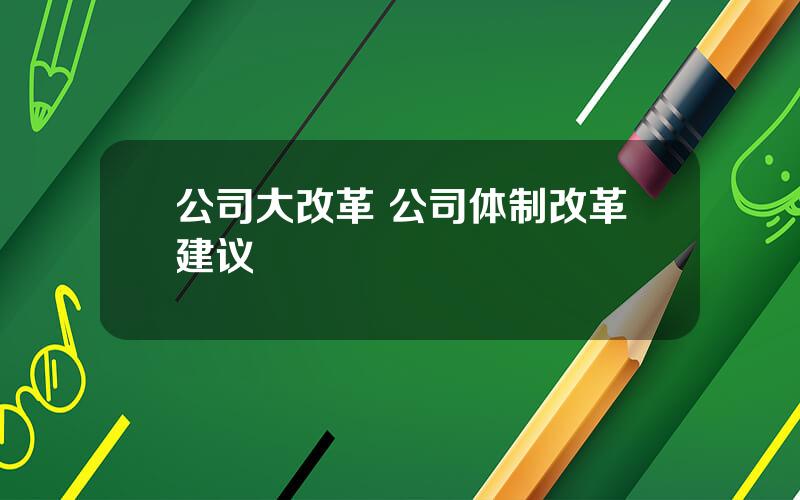 公司大改革 公司体制改革建议